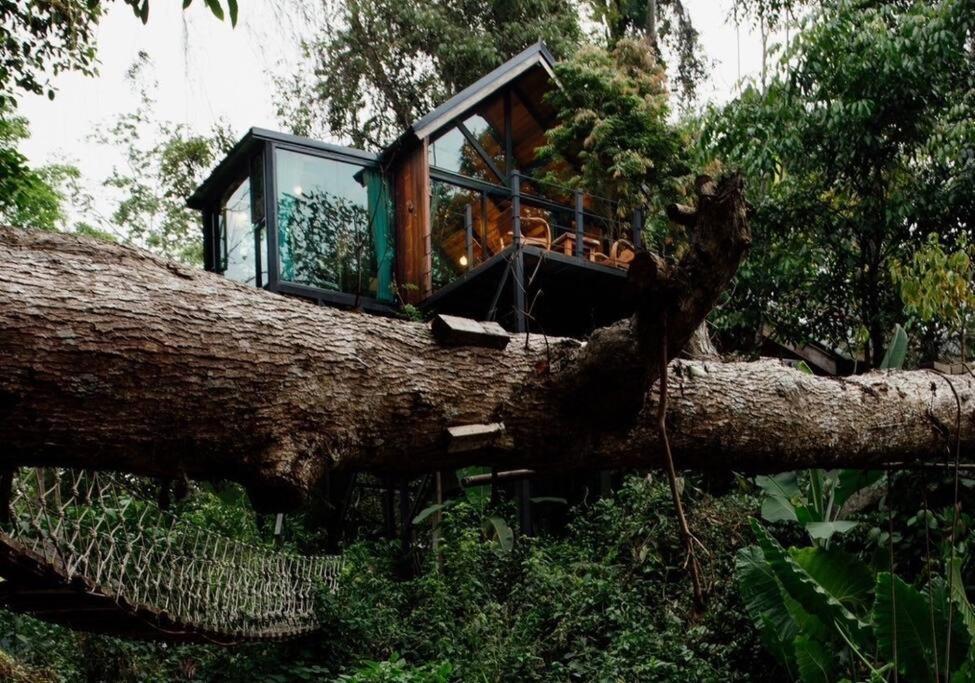 Villa Wilderness Treehouse Doi Saket Exterior foto