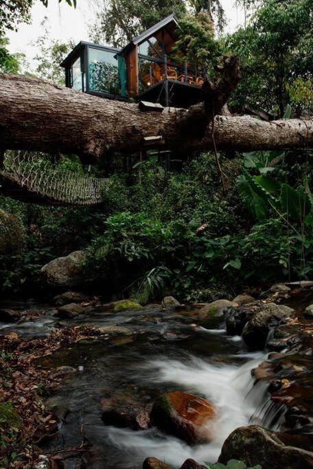 Villa Wilderness Treehouse Doi Saket Exterior foto